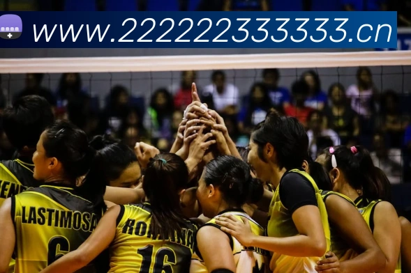 kaiyun登录入口平台生态图