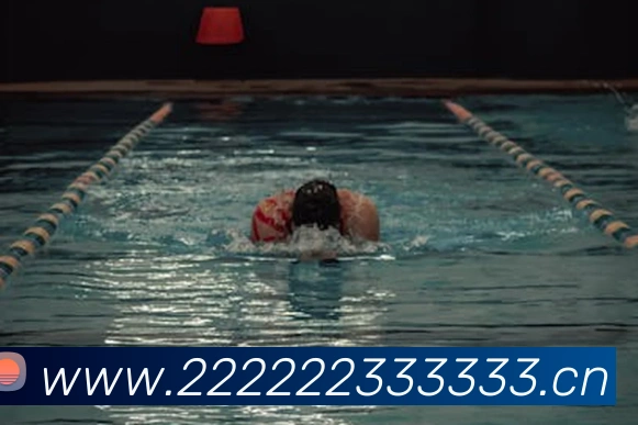 kaiyun登录入口全站App